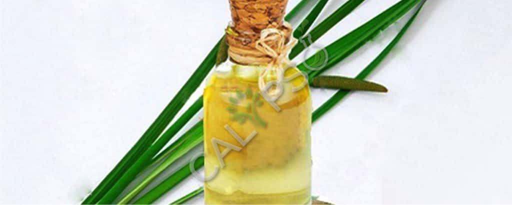 Calamus Natural Oil.